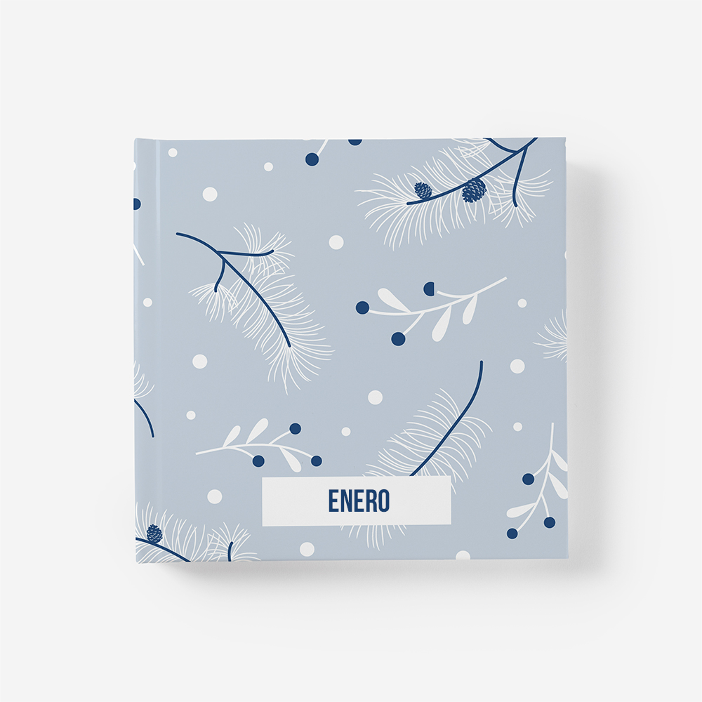 Álbum Enero 1