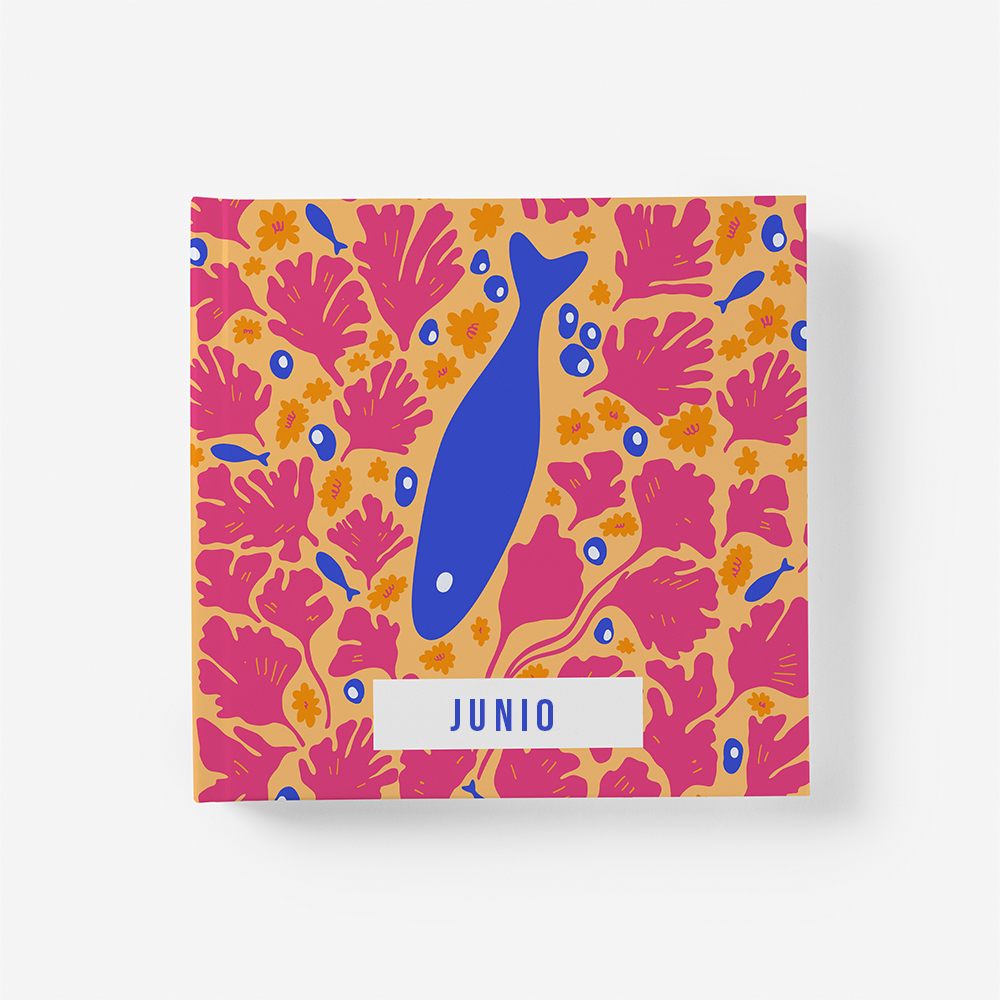 Álbum Junio intro