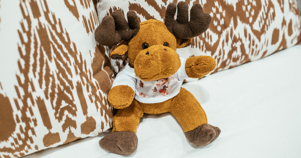 Orsetto Peluche Schaffer 1370 Orsetto Polare Di Peluche Knut - 20cm Peluche Morbido E Durevole Orsacchiotto Schaffer 20cm - 5