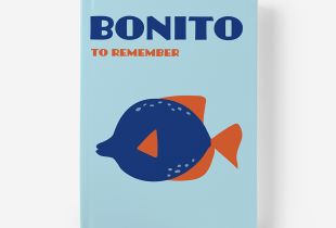 Álbum Bonito intro