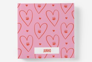 Álbum Junho intro