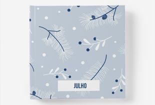 Álbum Julho intro